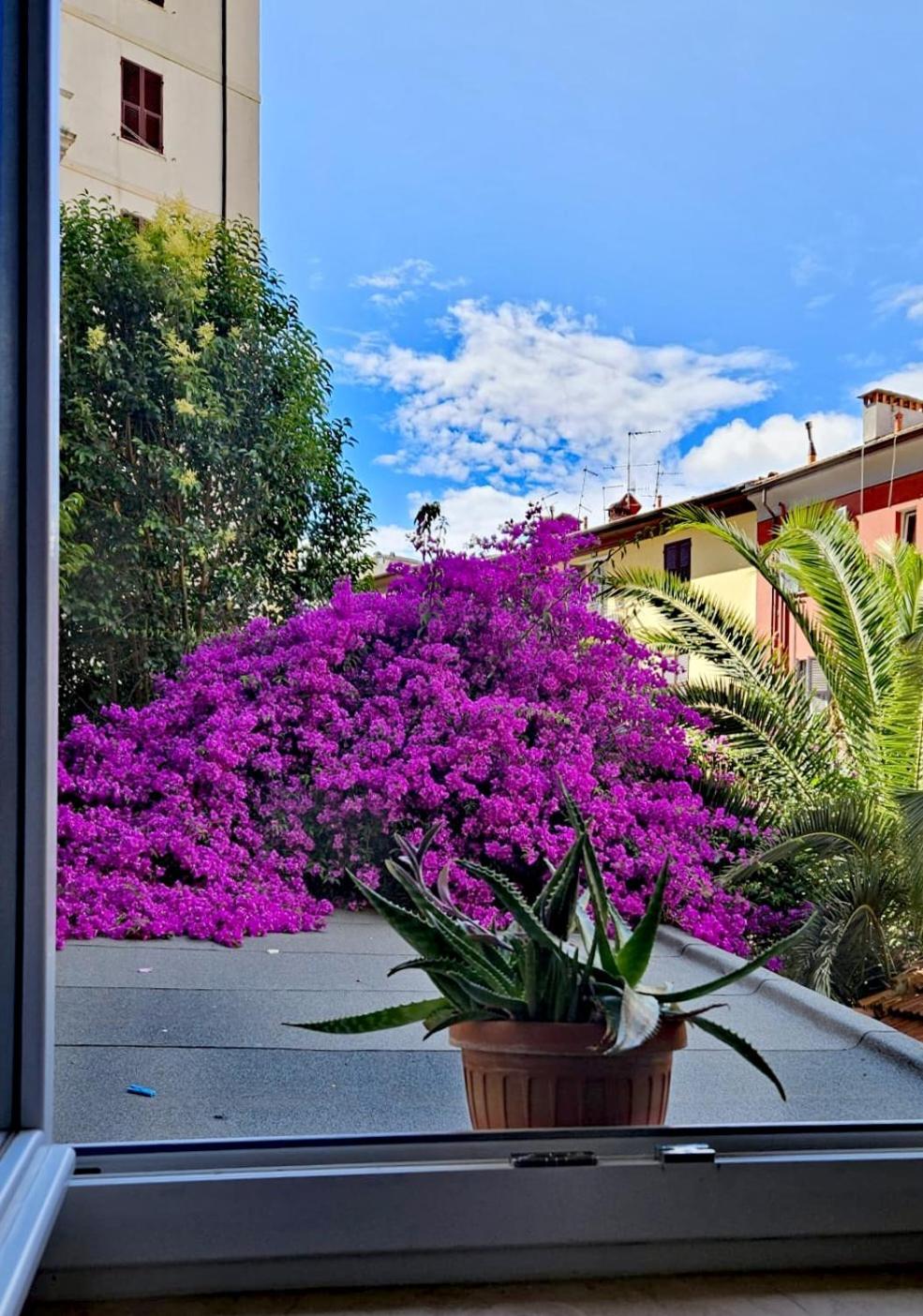 Ancora Qui, Nel Golfo Dei Poeti Apartment La Spezia Ngoại thất bức ảnh